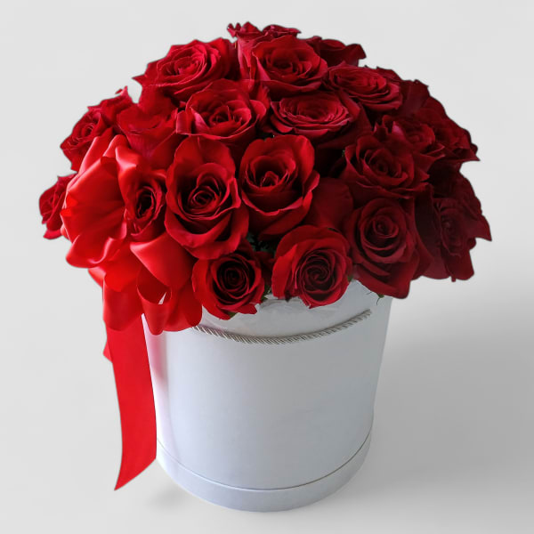 3 Dozen Red Rose Velvet Box