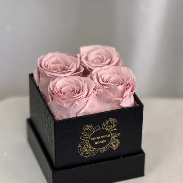 Forever Roses Dusty Pink