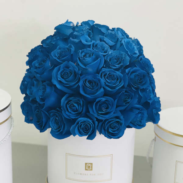 Blue Roses in a Cylinder White Box