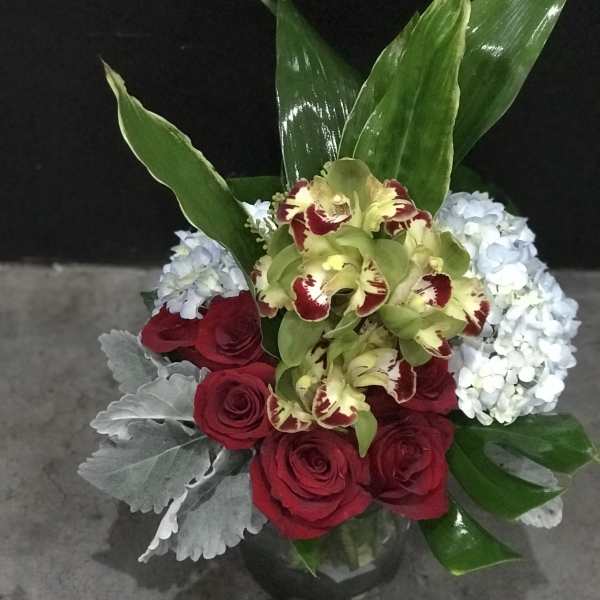 Cymbidium Surprise