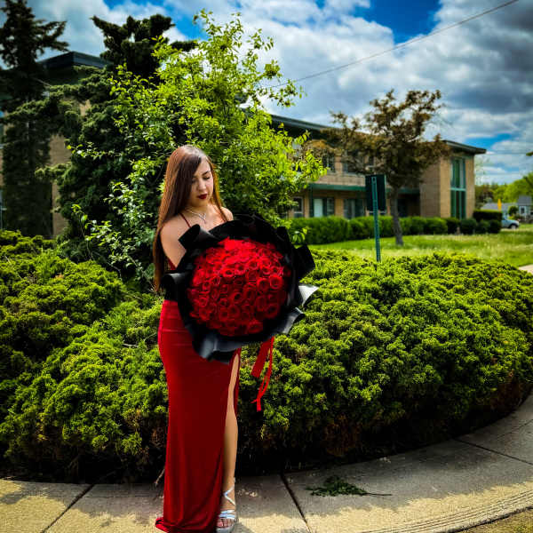 Scarlet Passion- Fiorato Sacramento, CA.