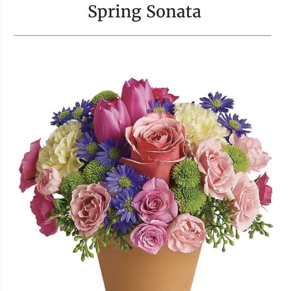 Spring Sonata