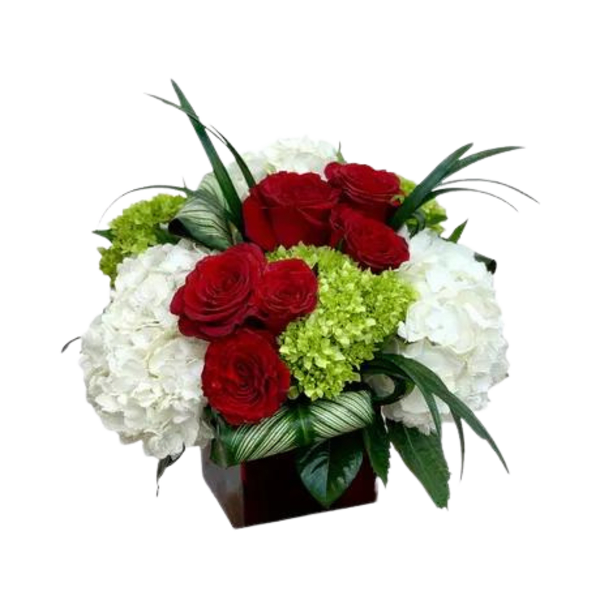 Hydrangea and Red Roses in a glass cube