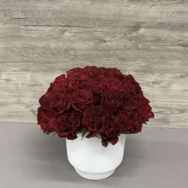 Listen to your Heart