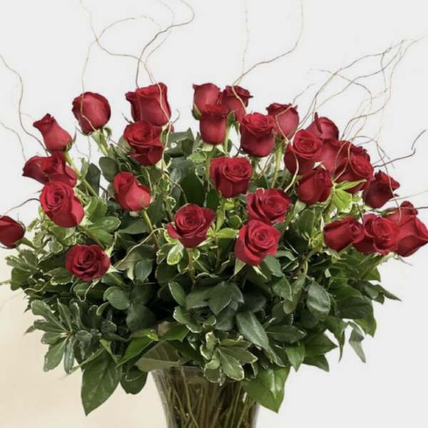 Four Dozen Red Roses