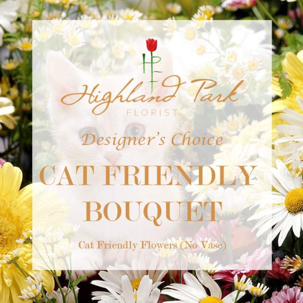 Cat Friendly Bouquet