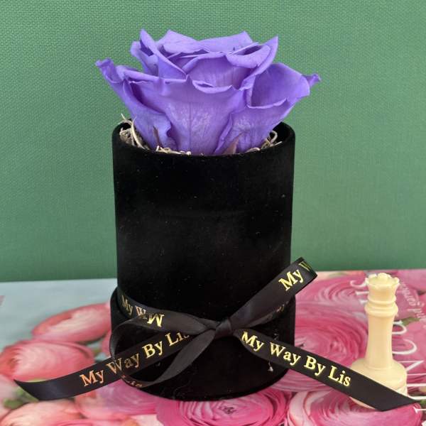 Sara. (PRESERVED ROSE)