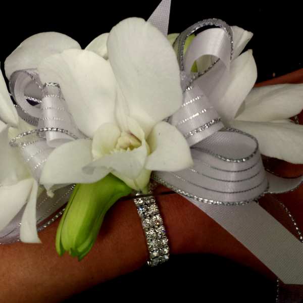 Dendrobium orchid crosage