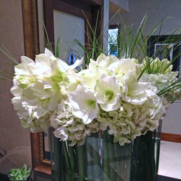 169 tall flowers only