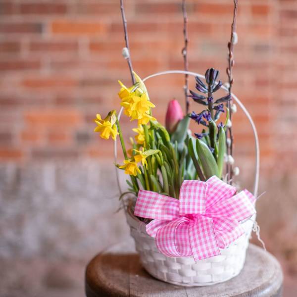 Spring Bulbs Basket