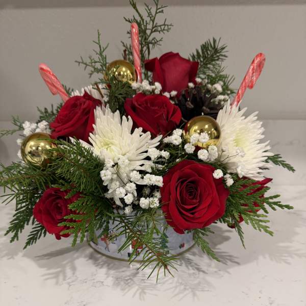 Golden Candy Christmas Rose