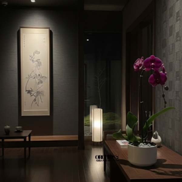 Purple Phalaenopsis Orchid – Premium Ceramic Pot