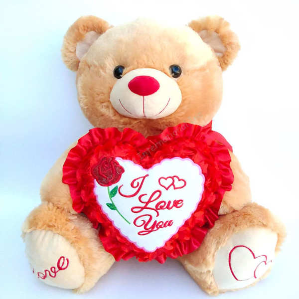 I Love You Teddy Bear