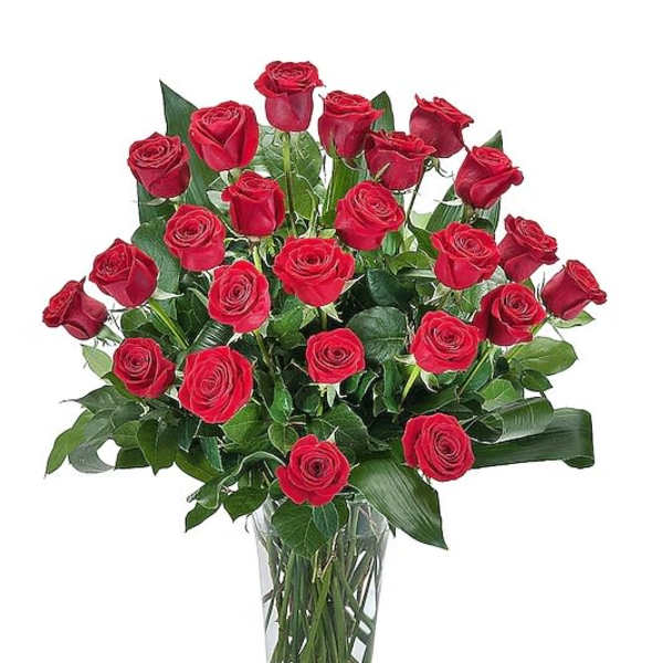 Two Dozen Premium Long Stem Roses