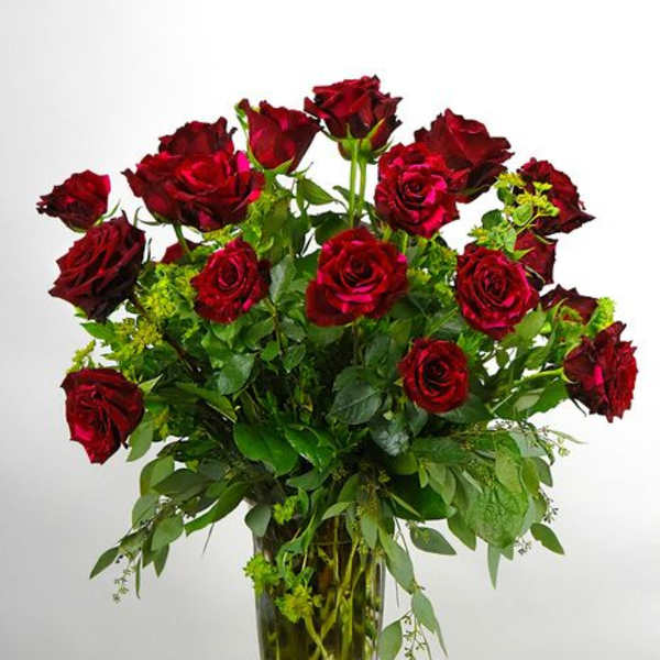 Red Panther Rose - Long Stem Arrangement