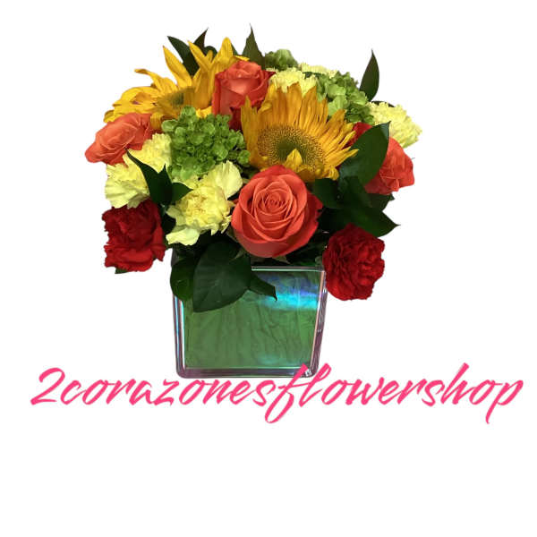 2corazoneslntheStars