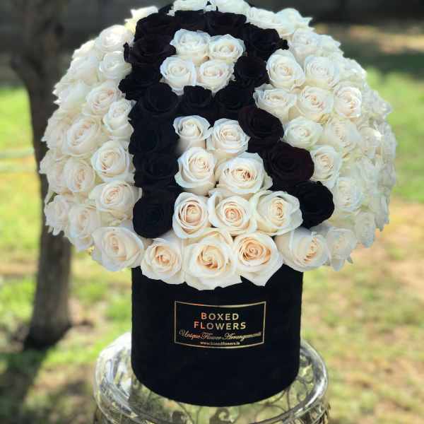 Signature velvet initial box