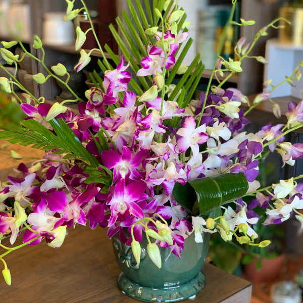 Eddie's Lovely Orchids