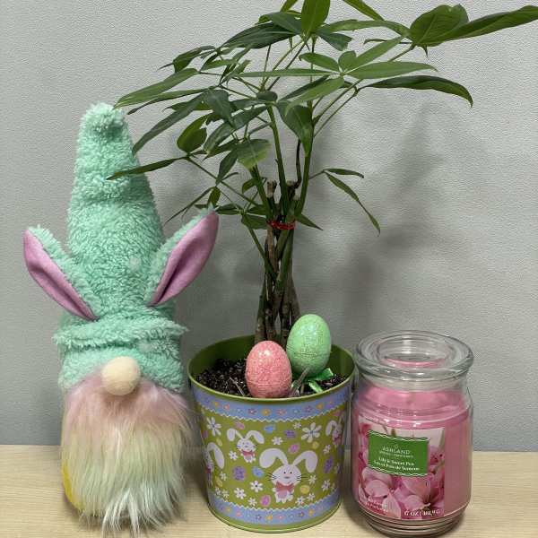 Easter Gnome & Money Tree Trio