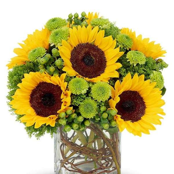 Sunflowers for You