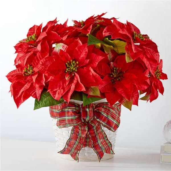 Poinsettia w/ Basket and Bow