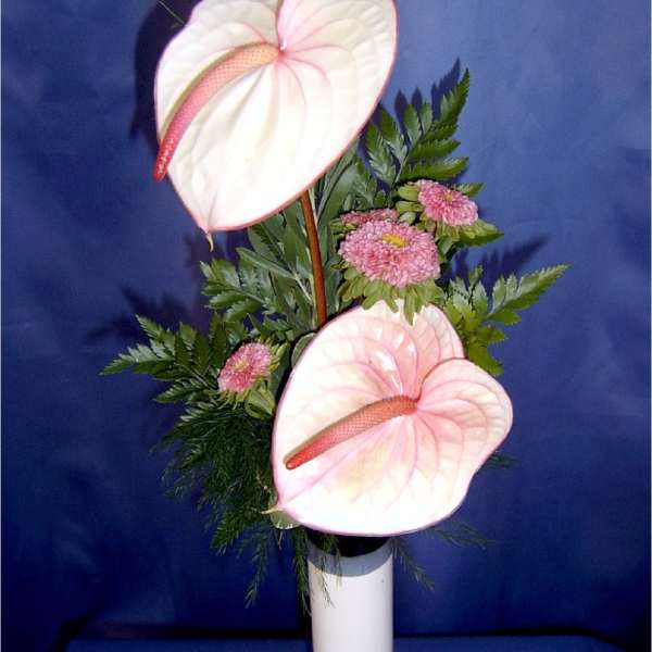 Anthurium Pastel Bud Vase