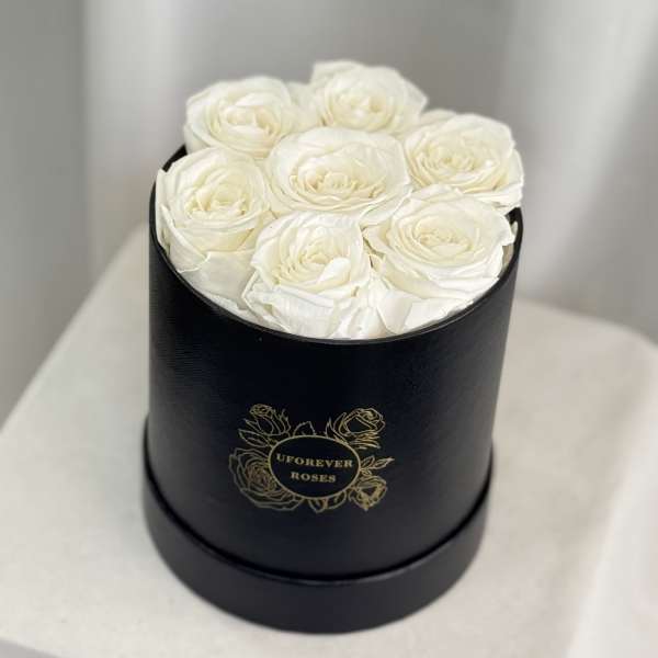 Forever Roses in White