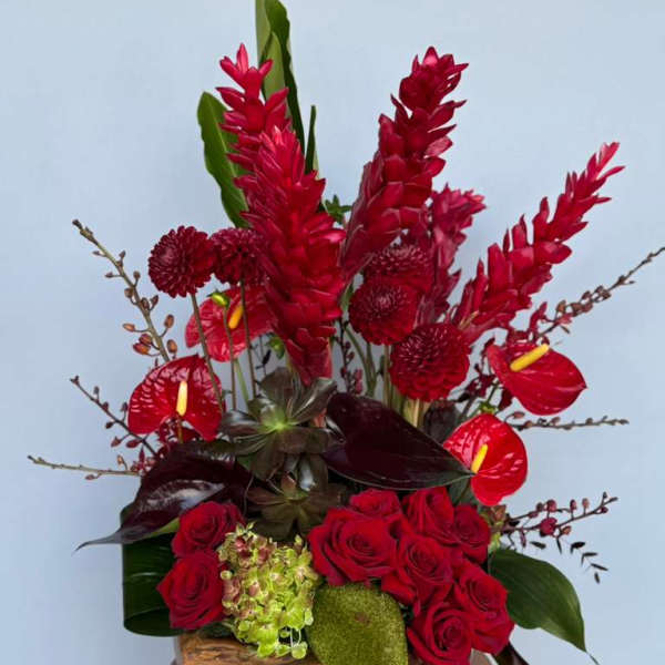 Si Te Quieres Divertir