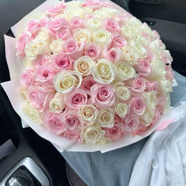 100 White & Pink Roses