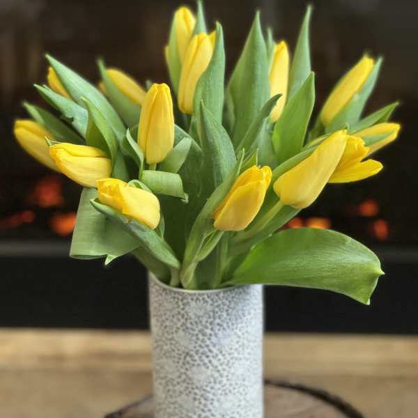 Tulips in ceramic vase