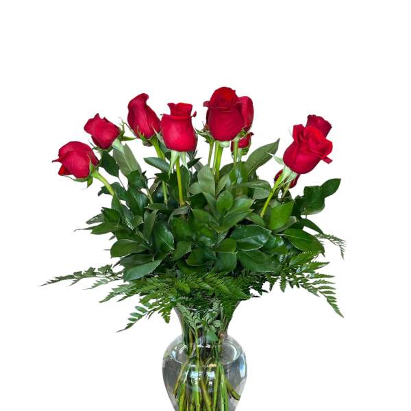 Long Steamed Dozen Roses