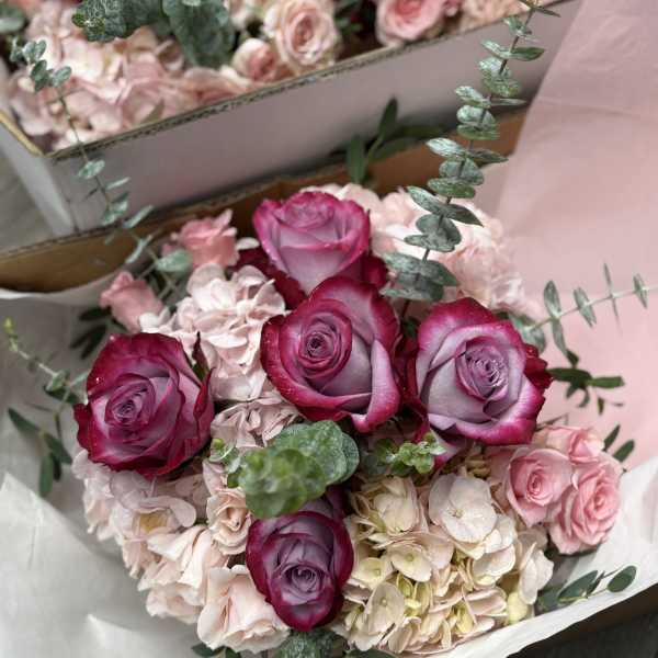 Merlot VINO before VOWS Pink Boxes