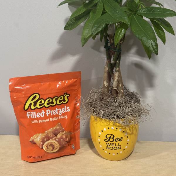 Bee Well Money Tree & Pretzels