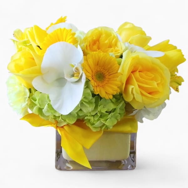 Soft Yellow And Vanilla Blossoms Beautiful Bouquet Designer's Choice