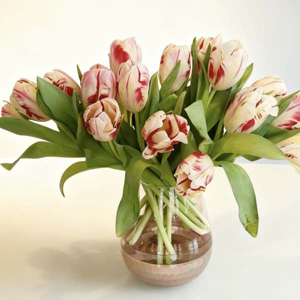 If it's not Dutch...