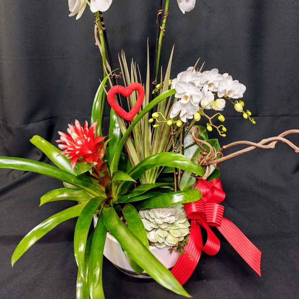 Large blooming orchid garden