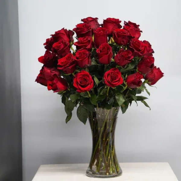 Classic Red Roses