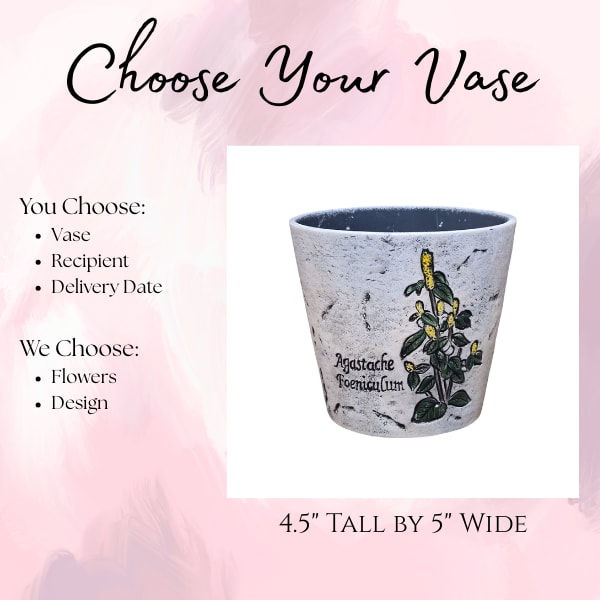 Agastache Foeniculum Pot - Choose Your Vase