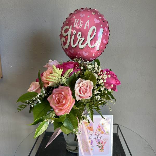 Welcome Baby Girl Package!