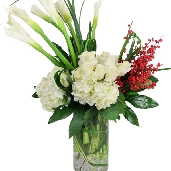 Contemporary Christmas