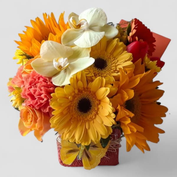 Daisies For You Bouquet Designer's Choice