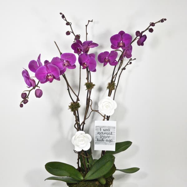 I was normal tree kids ago