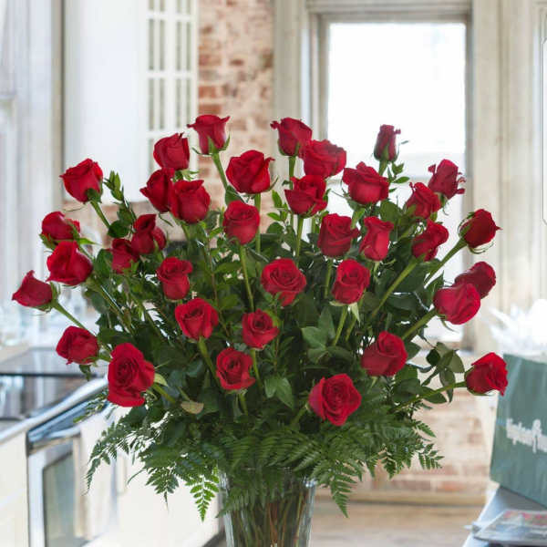Valentine's Day- 3 Dozen Red Ecuadorian Premium Roses
