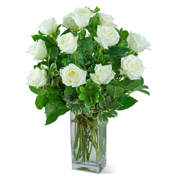 White Roses (12)