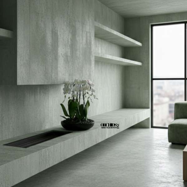 White Phalaenopsis Orchid – Luxury Client Gift