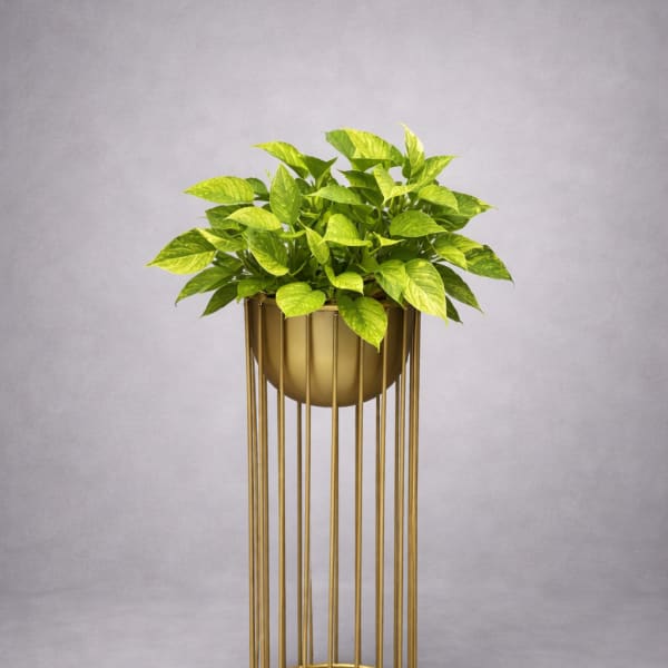 Modern Gold Planter