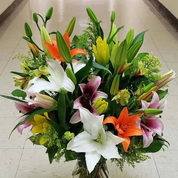 DESIGNERS CHOICE - OHH LILY