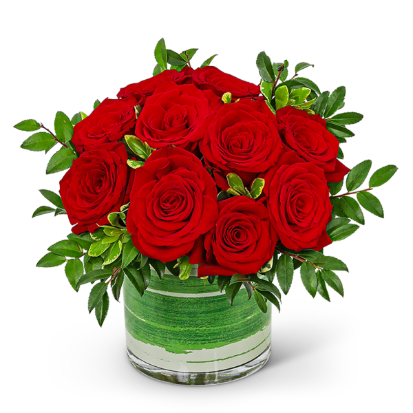 One Dozen Rosy Posy Red Roses