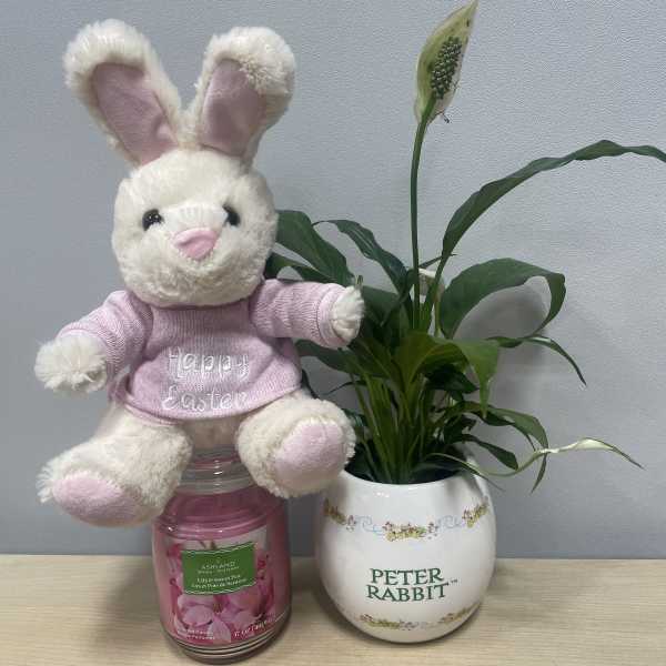 Easter Bunny Planter Trio