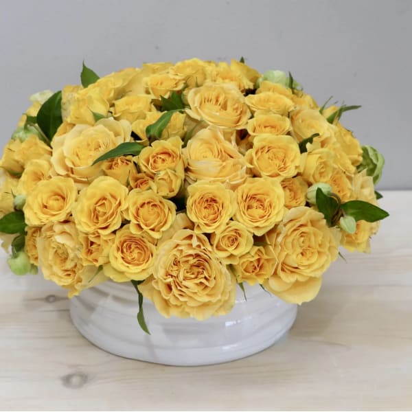 Bright Yellow Roses - WeHo